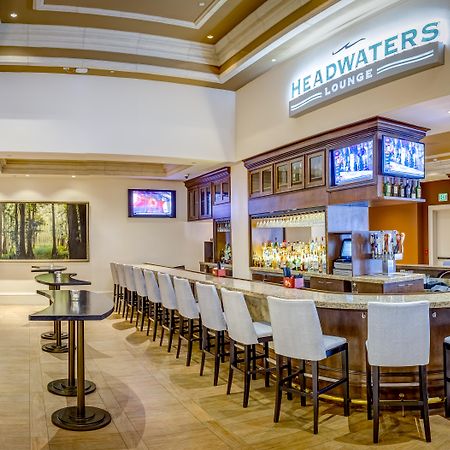 Rosen Shingle Creek Universal Blvd Williamsburg Eksteriør bilde