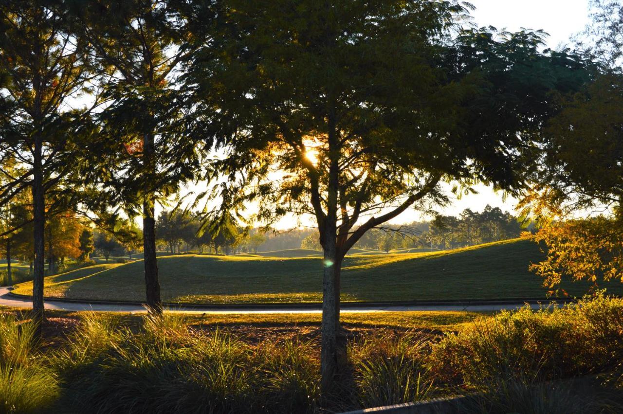 Rosen Shingle Creek Universal Blvd Williamsburg Eksteriør bilde